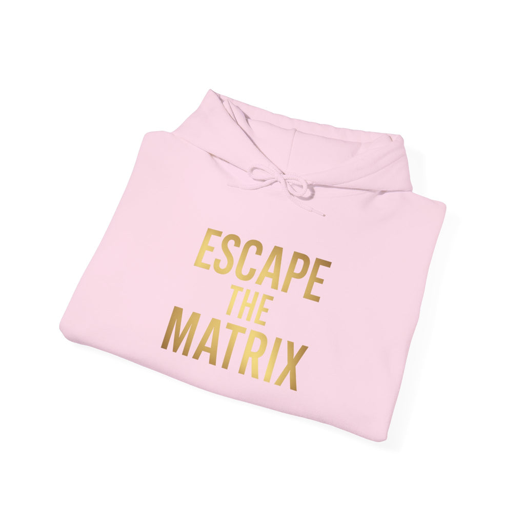 The Matrix Unisex Heavy Blend Hoodie – Cozy & Stylish