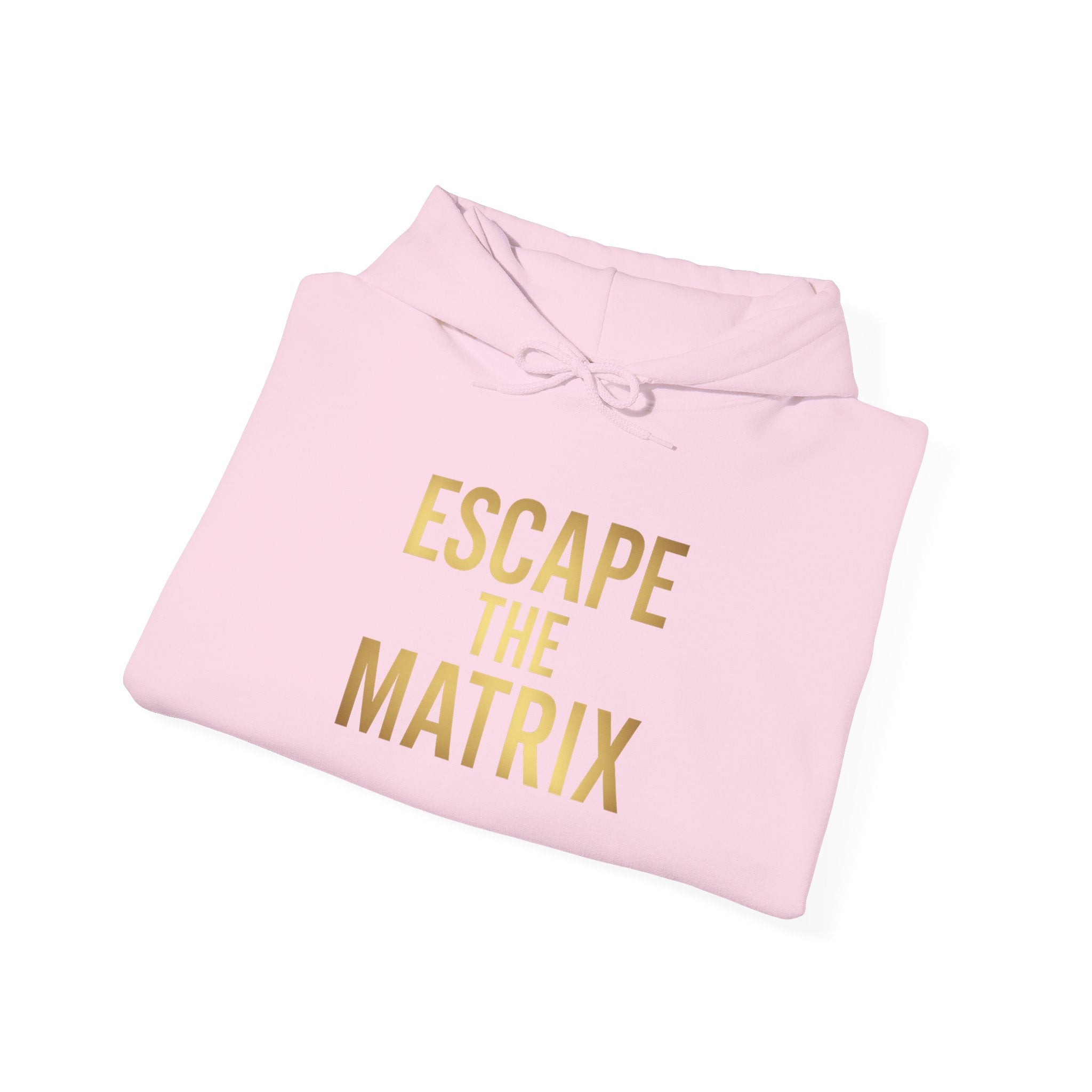 The Matrix Unisex Heavy Blend Hoodie – Cozy & Stylish