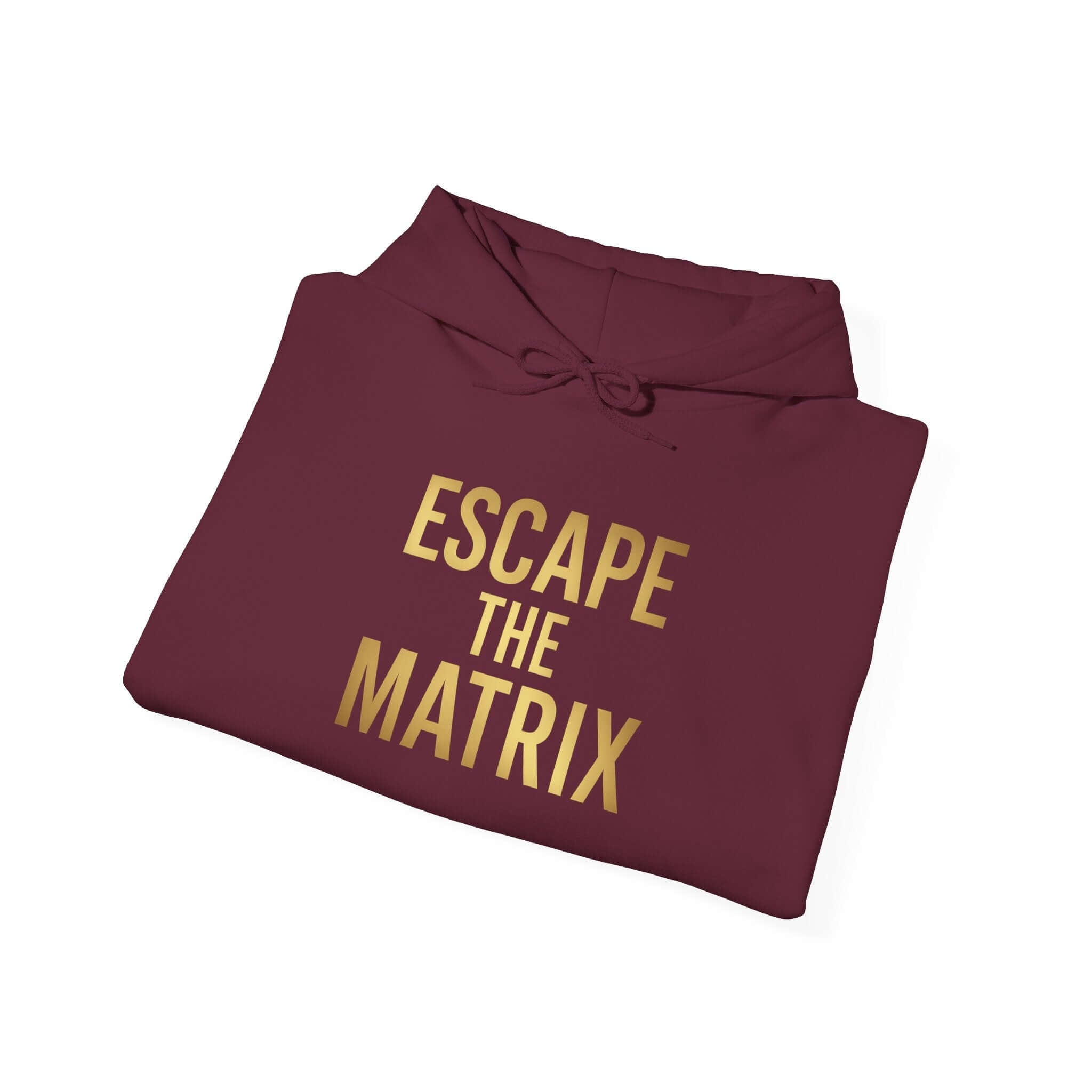 The Matrix Unisex Heavy Blend Hoodie – Cozy & Stylish