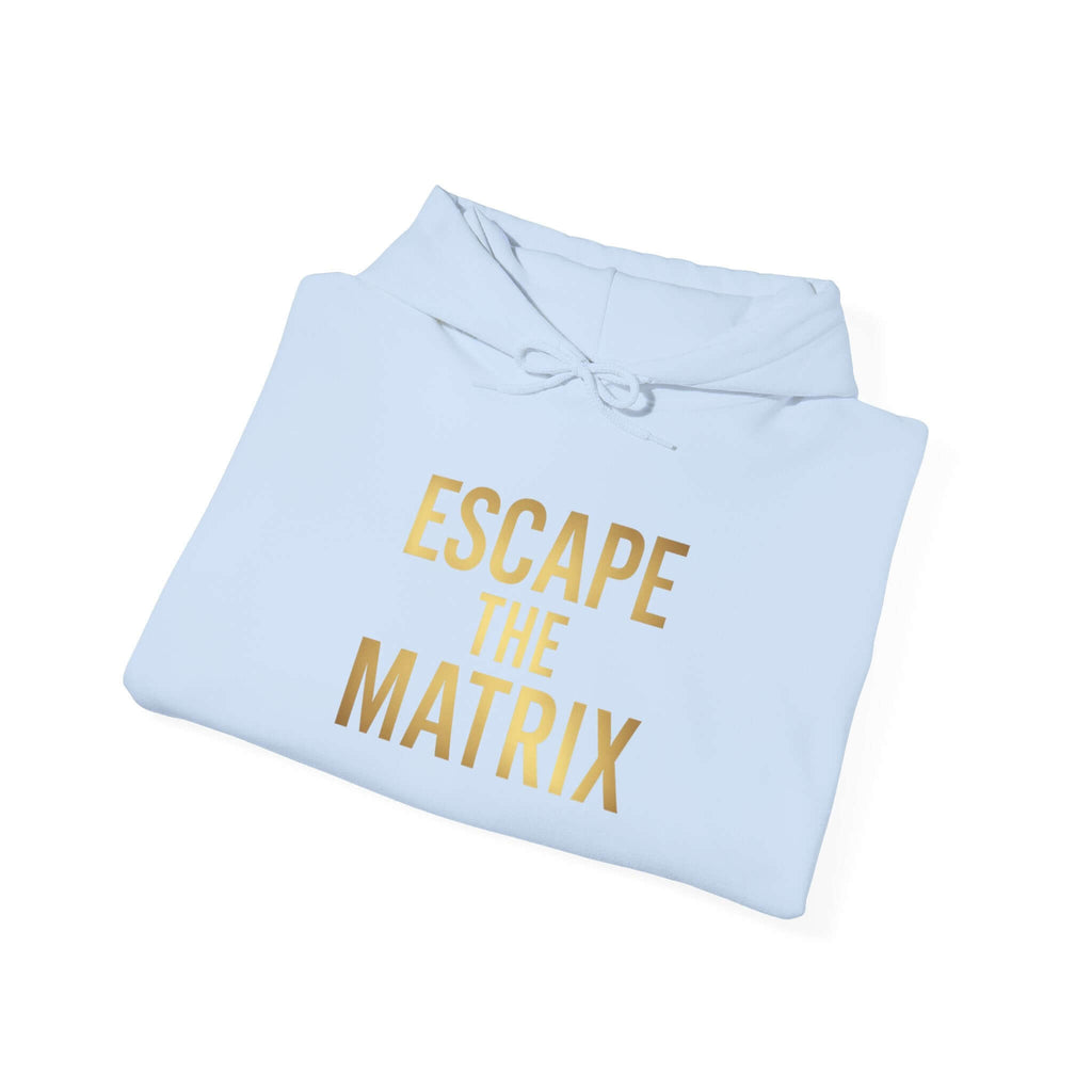 The Matrix Unisex Heavy Blend Hoodie – Cozy & Stylish